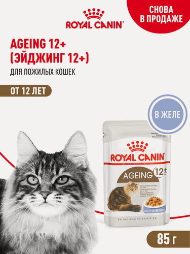 Изображение товара Влажный корм для кошек пожилых Royal Canin Ageing 12+ кусочки в желе, 28 шт по 85 г