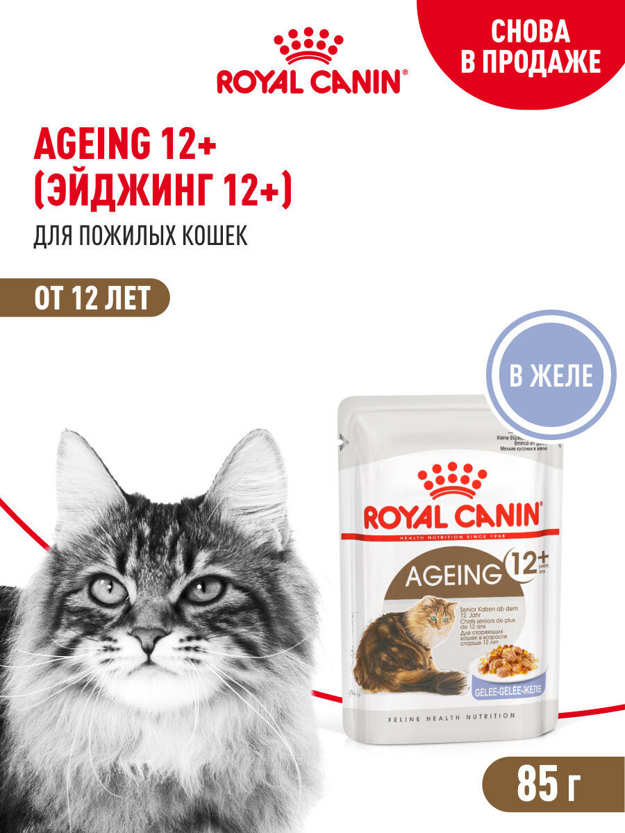 Влажный корм для кошек пожилых Royal Canin Ageing 12+ кусочки в желе, 28 шт по 85 г