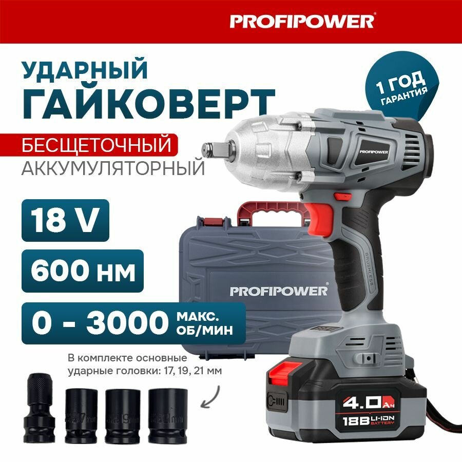 Аккумуляторный гайковерт ProfiPower DWDTW-18V E0105 (напряжение 18 в, оснастка) - фото №18
