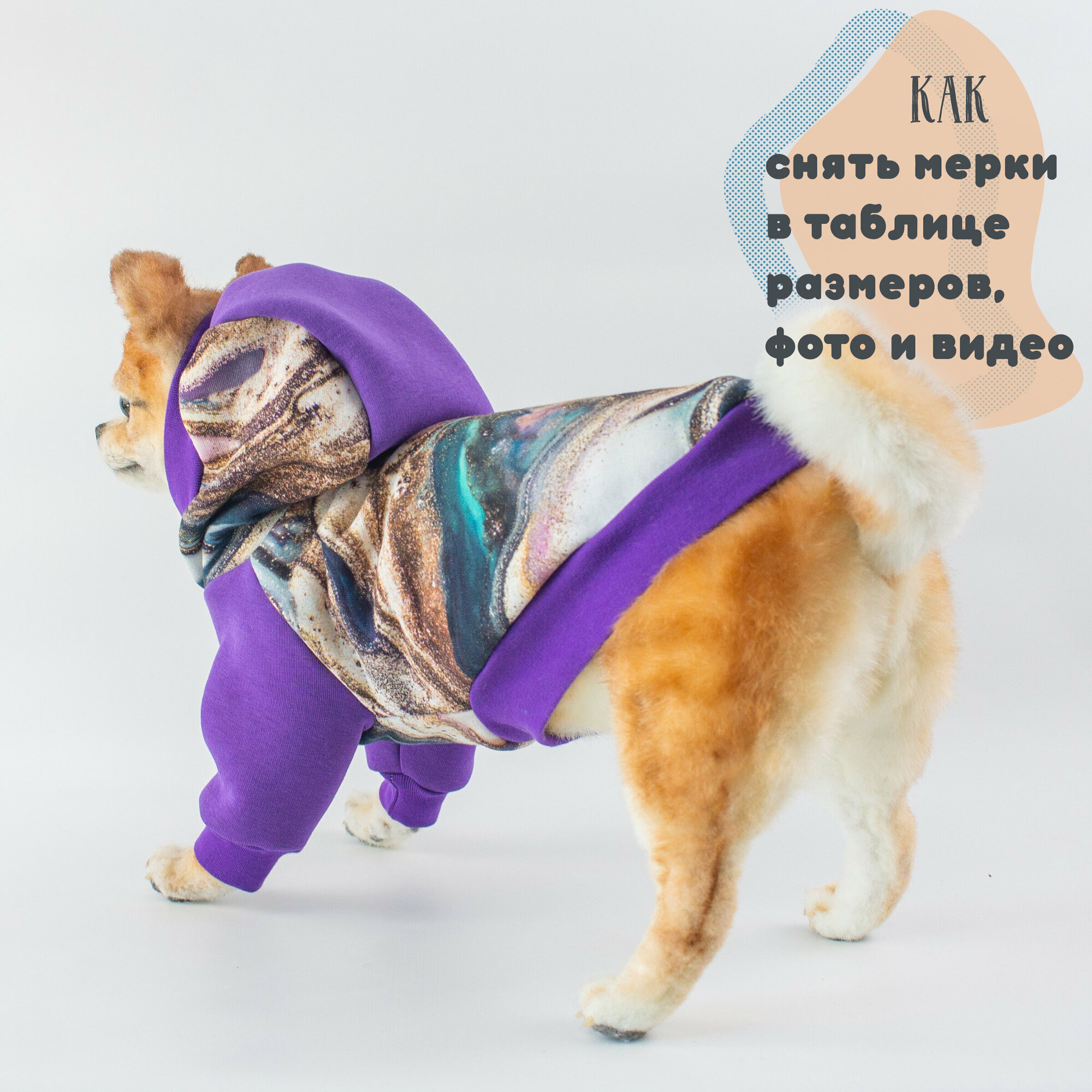 Тёплая толстовка для собак Элегантный Кот, Аметистовый Флюид, размер M - фотография № 10