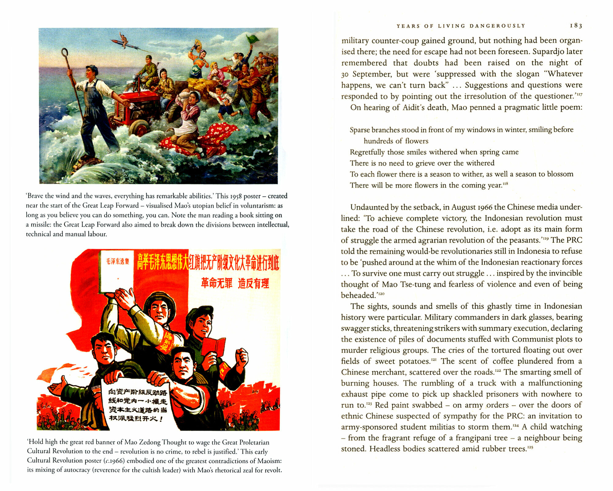 Maoism. A Global History (Lovell Julia) - фото №3