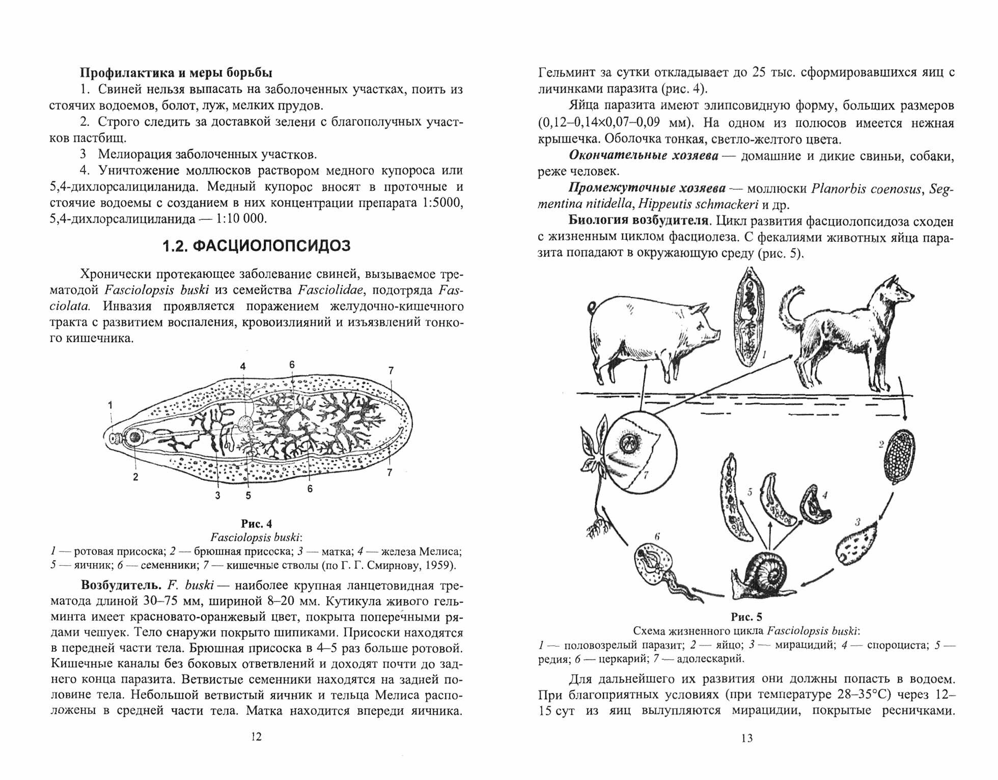 Паразитарные болезни свиней.Уч.пос для вузов - фото №3