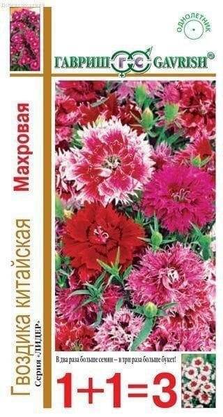 Гвоздика китайская Махровые* смесь 06 г серия 1+1 Н14 (семена 06 гр.) Гавриш