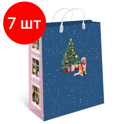 Комплект 7 штук, Пакет пластик Medium НГ 260х240х90мм, арт. 0428.279к