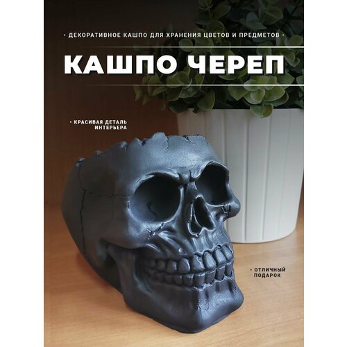 Кашпо из гипса голова Череп маленькое декоративное