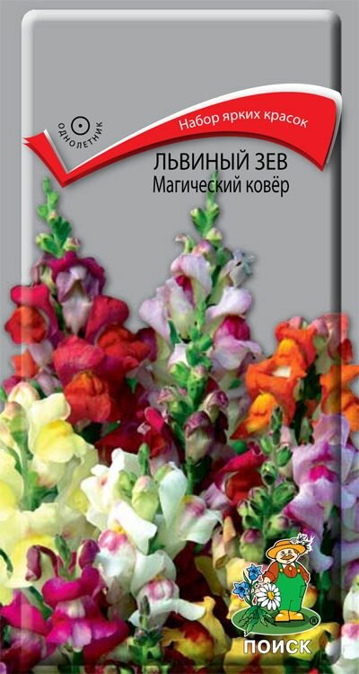 Семена Львиный зев 
