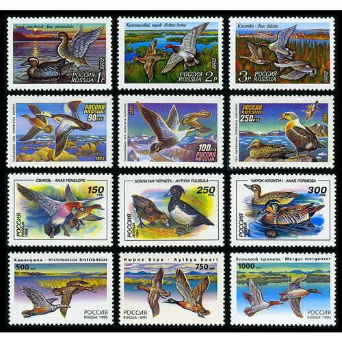 Почтовые марки России 1992-1995 г. г. Фауна. Утки. Полный набор. MNH(**) почтовые марки россия 1992 1995 года стандартные выпуски в квартблоках чистые 96 марок