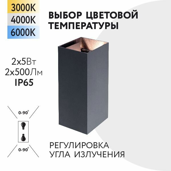 Уличный настенный светильник Foton Lighting 10Вт 2x5W 230В Сменная температура свечения 3000К/4000К/6000К Угол 90° IP65 Черный металл. Экопак. Архитектурный, садово-парковый светильник