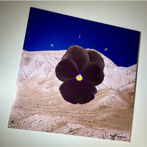 Виниловая пластинка Archil & Leon - Blooming [EP]