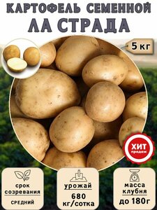 Клубни картофеля на посадку Ла Страда (суперэлита) 5 кг Средний