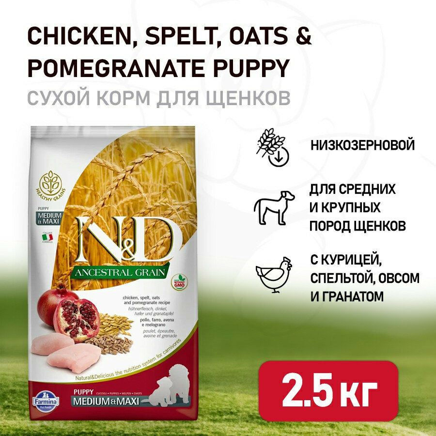 Farmina N&D Ancestral Grain Dog Chicken & Pomegranate Puppy Medium & Maxi сухой низкозерновой корм для щенков крупных и средних пород с курицей и гранатом - 2,5 кг