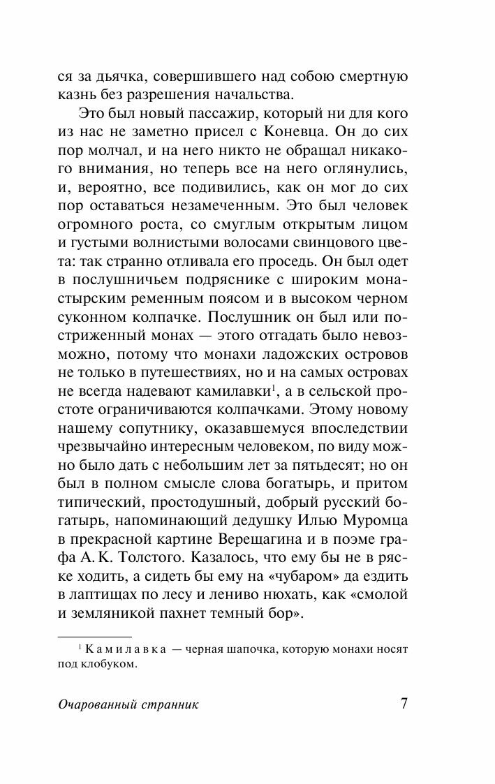 Очарованный странник (Лесков Николай Семенович) - фото №8