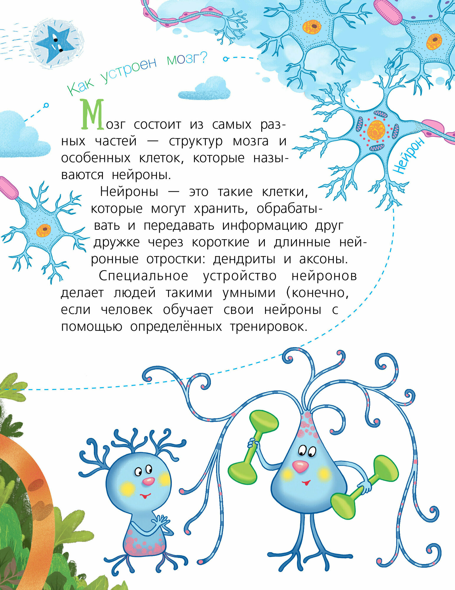 Мозг (Саксон Мари Владимировна) - фото №3