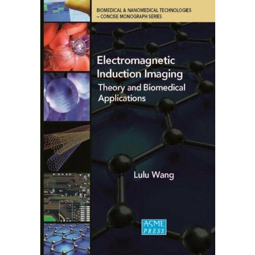 Wang, Lulu, "Electromagnetic induction imaging :"