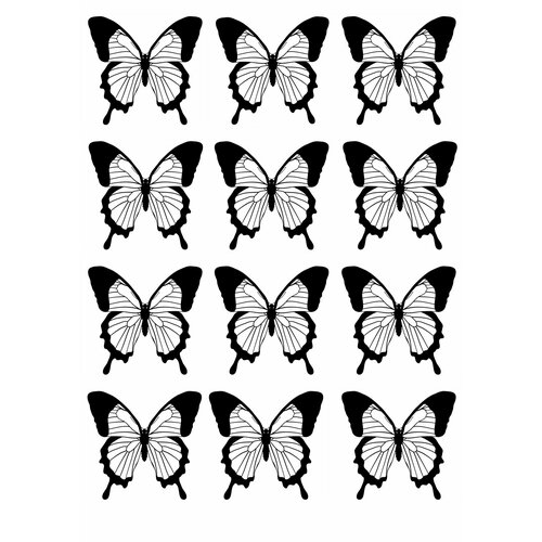 фото Бабочки на глянцевой фотобумаге для вырезания и создания букета из бабочек, творческих композиций нет бренда