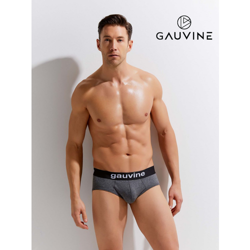 Трусы GAUVINE, размер XXL, серый мужские трусы брифы черные opium brief r52 s 46