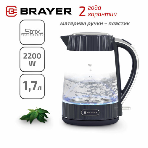 Чайник электрический BRAYER BR1075 319000₽