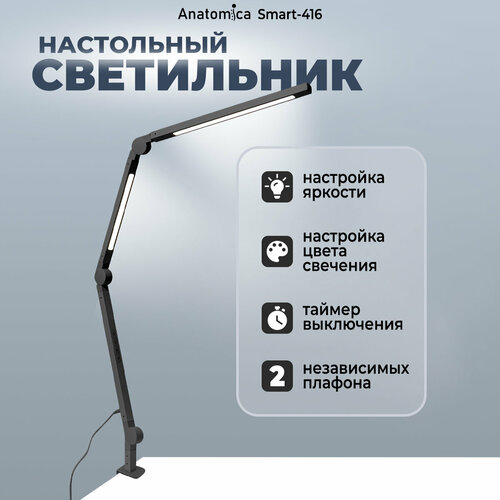 Светильник настольный Anatomica Smart-416 черный 4829₽