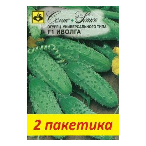 семена огурец поп стар f1 семко 2 пакетика Семена Огурец Иволга F1 2 пакетика