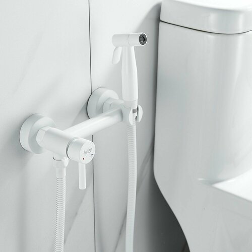 F207C Смеситель с гигиеническим душем из нержавейки, белый