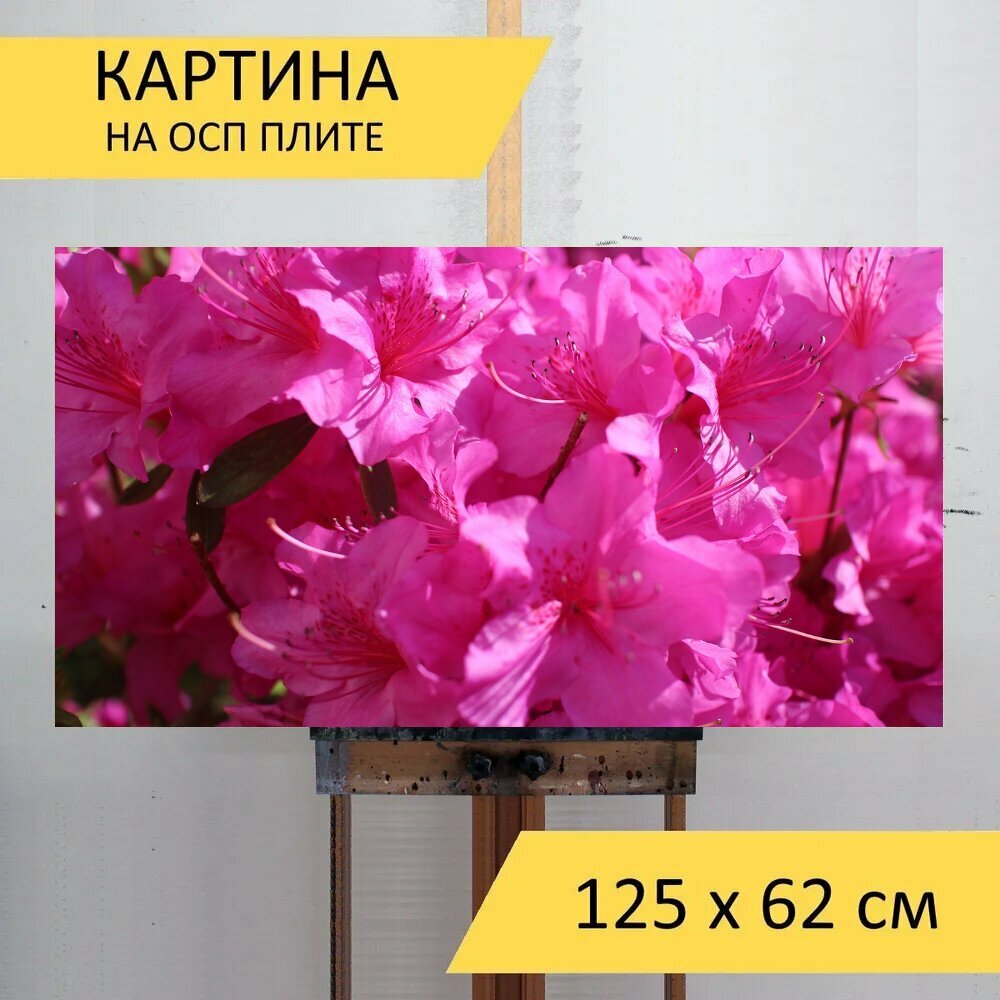 Картина на ОСП 125х62 см. 