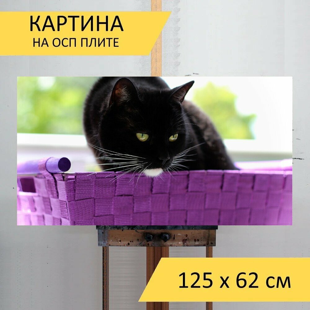 Картина на ОСП 125х62 см. "Кот, чернить, белый" горизонтальная, для интерьера, с креплениями