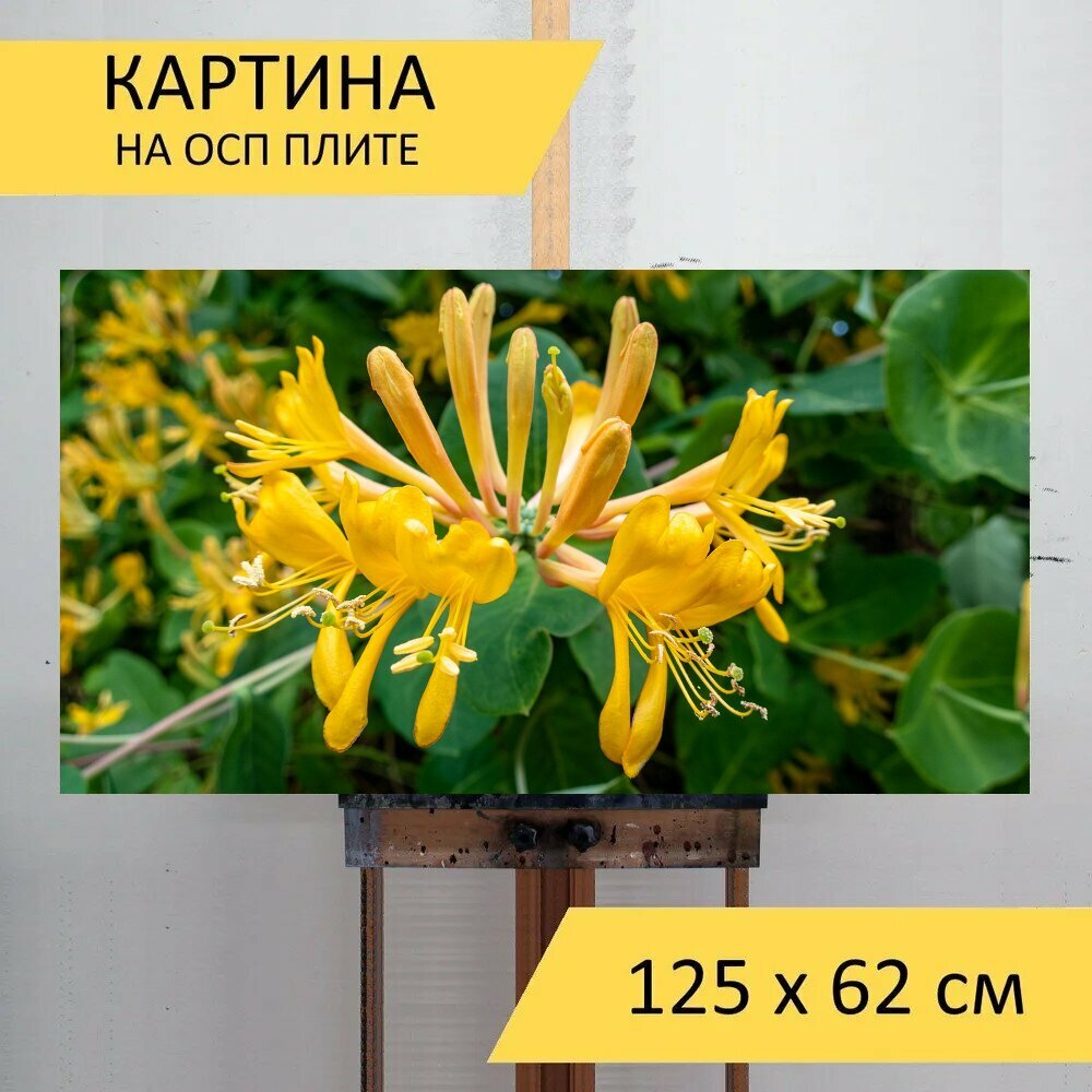 Картина на ОСП 125х62 см. 