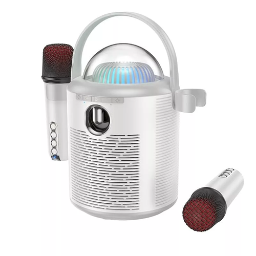 Колонка с двумя микрофонами для домадачи Серебристая 450000₽