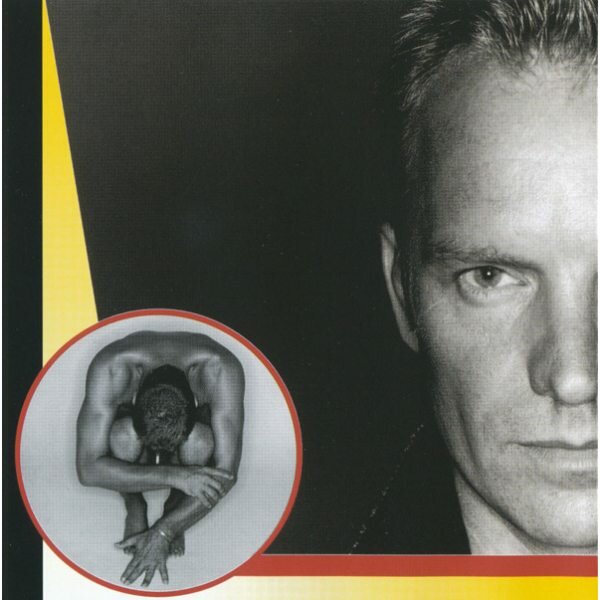 Sting Fields of Gold: The Best of Sting 1984-1994 CD Медиа - фото №5