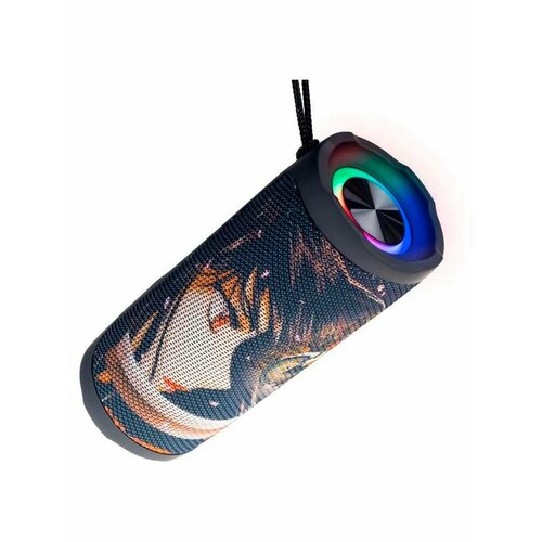 Акустика портативная PERFEO PF_D0330 STREET манго 264500₽