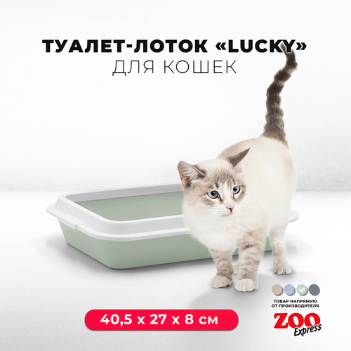 Туалет-лоток для кошек ZOOexpress LUCKY с рамкой без сетки, 40,5х27х8 см, светло-зеленый