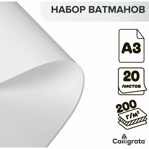 Набор ватманов чертёжных А3, 200 г/м², 20 листов (комплект из 6 шт)