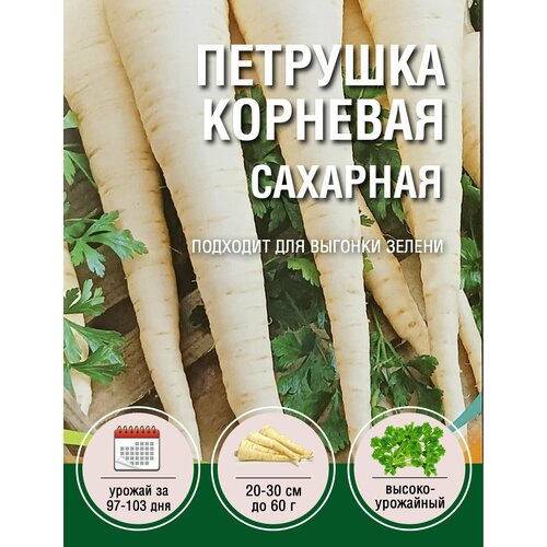 Петрушка Корневая Сахарная (1 пакет по 2гр) петрушка корневая сахарная 3 пакета по 2гр