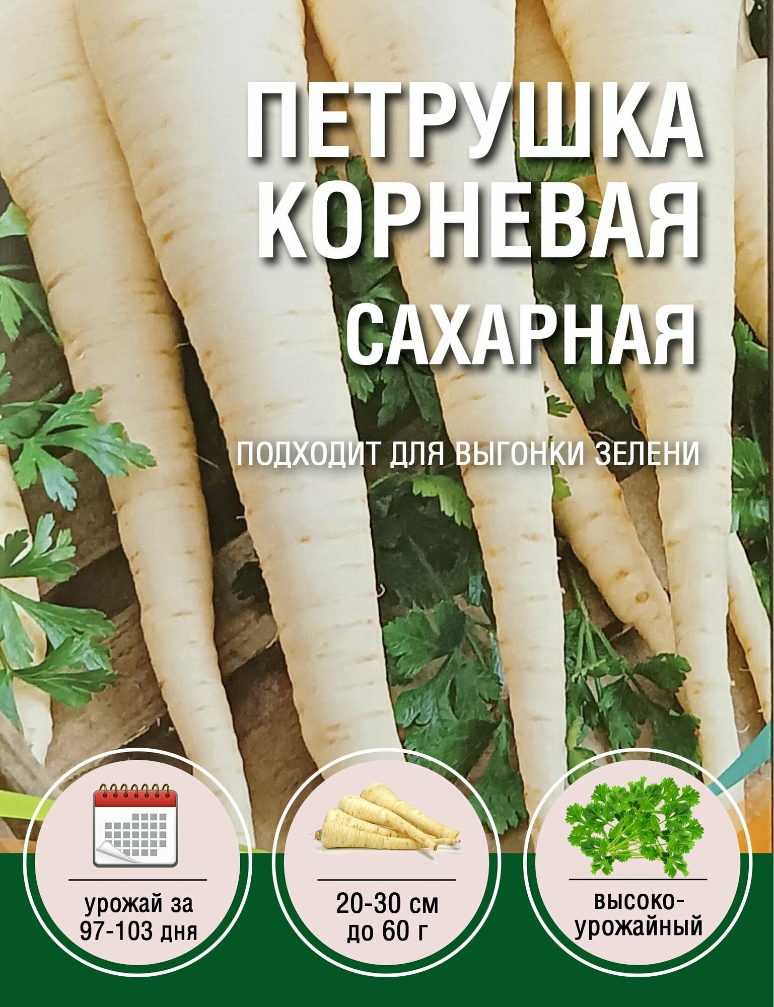 Петрушка Корневая Сахарная (10 пакетов по 2гр)