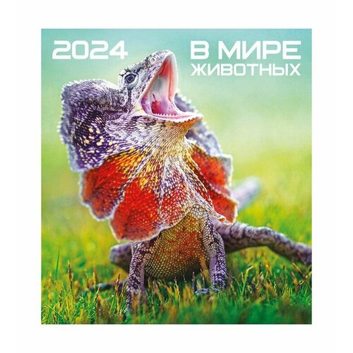 Перекидной календарь 2024 24х24. В мире животных