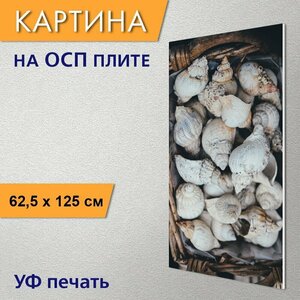 Вертикальная картина на ОСП "Ракушки, корзина, оболочка" 62x125 см. для интерьериа