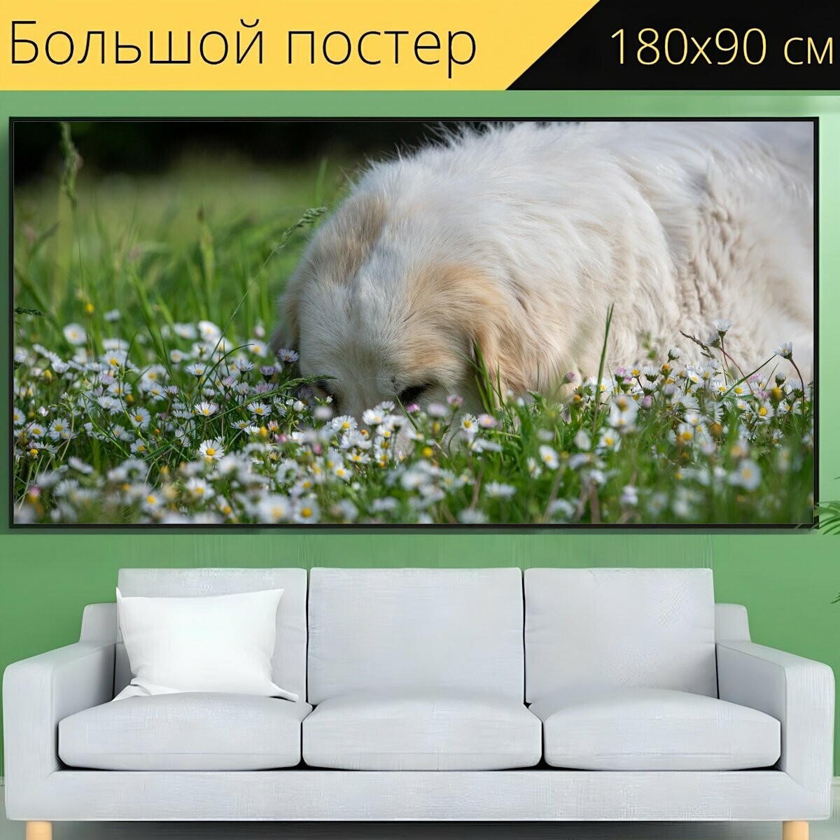 Большой постер "Собака, луг, цветочный луг" 180 x 90 см. для интерьера