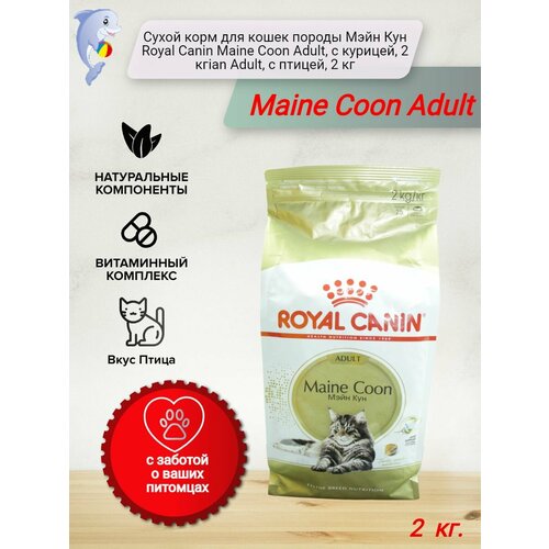 Сухой корм для кошек породы Мэйн Кун Royal Canin Maine Coon Adult, с курицей, 2 кгian Adult, с птицей, 2 кг