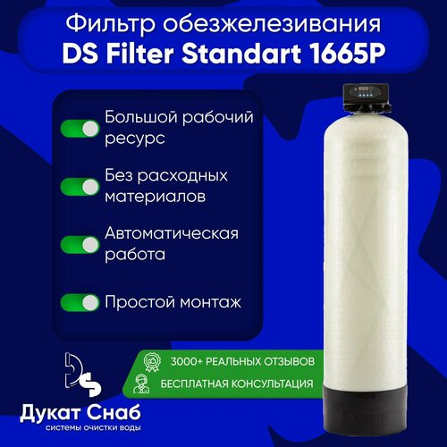 DS Filter Standart 1665 для очистки воды из скважины от железа и марганца комплект для обезжелезивания воды fe уголь