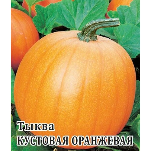 Семена Тыква Кустовая оранжевая, 25г, Гавриш, Фермерское подворье, 2 пакетика