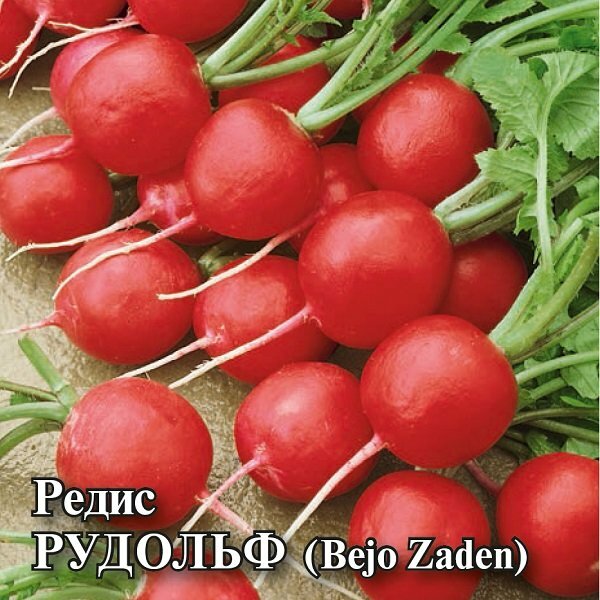 Семена Редис Рудольф, 25г, Гавриш, Фермерское подворье