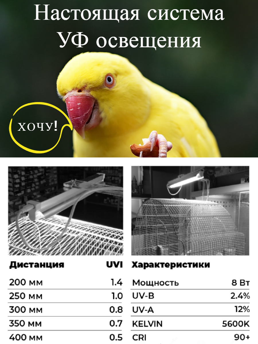 Лампа для птиц и светильник ZOODA MINI KIT - фотография № 19