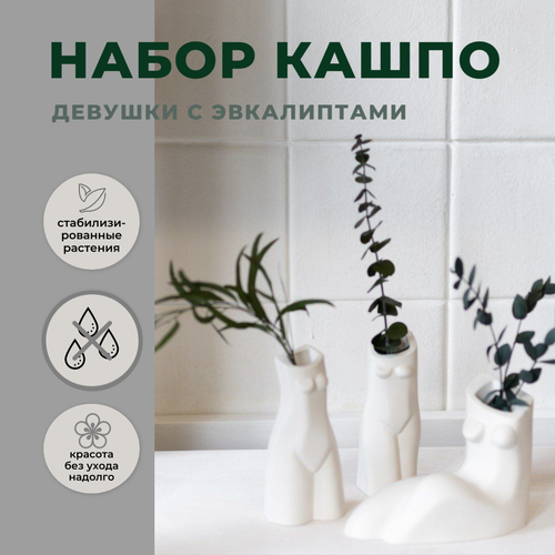 Девушки набор кашпо Stabflora со стабилизированным эвкалиптом 3 штуки белый, комбинированный, зеленый