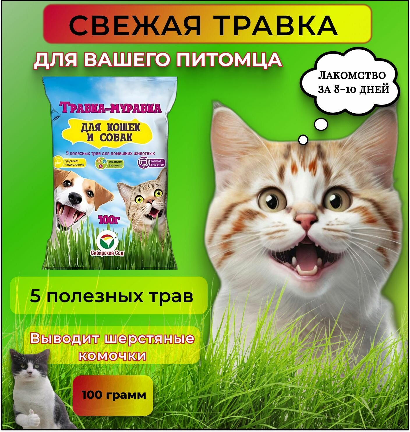 Семена 