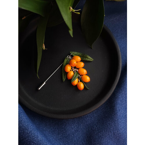 Брошь SPEKTOR_V Дизайнерская брошь Облепиха