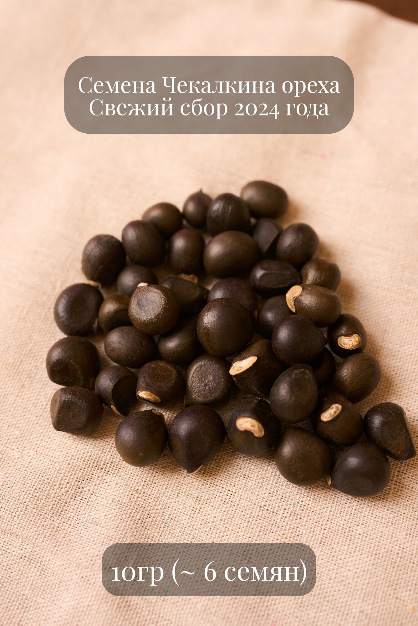 Семена Ореха Чекалкина рябинолистного, или Ксантоцераса рябинолистного, 10 грамм (примерно 6 шт)