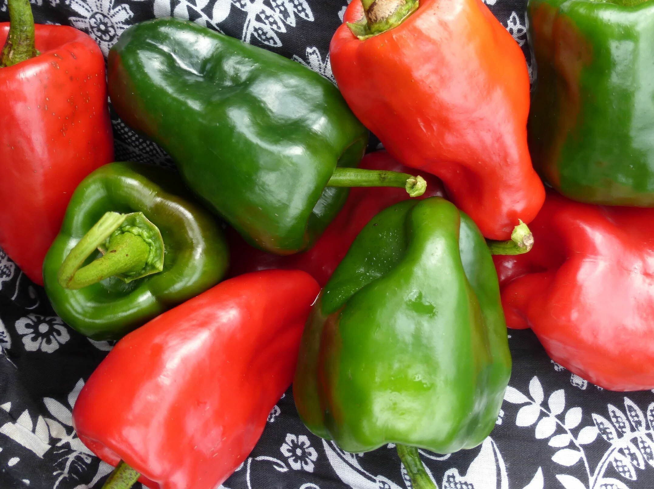 Перец слабоострый San Luis Poblano (лат. Capsicum annuum) семена 5шт + подарочные семена