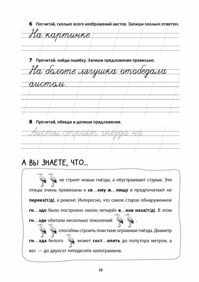 Логоментальные прописи и тренажеры для начальной школы. Птицы - фото №9