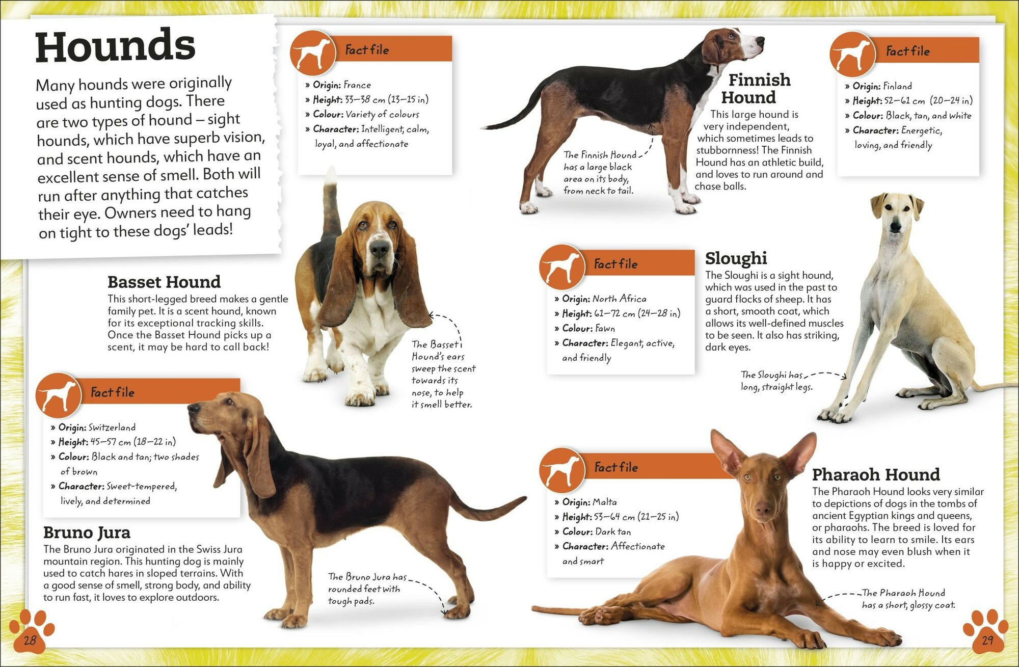 My Book of Dogs and Puppies (без автора) - фото №5