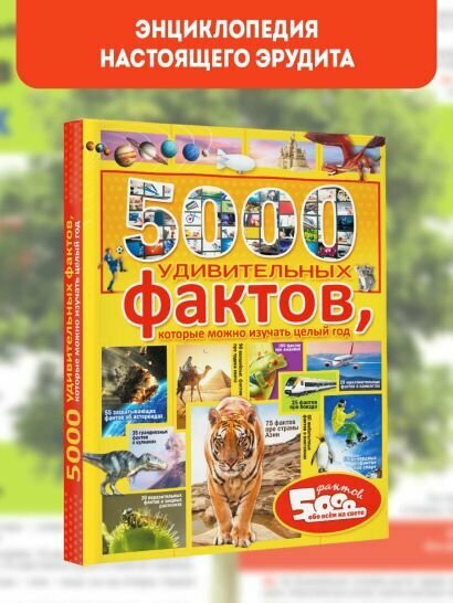 5000 удивительных фактов, которые можно изучать целый год - фото №6